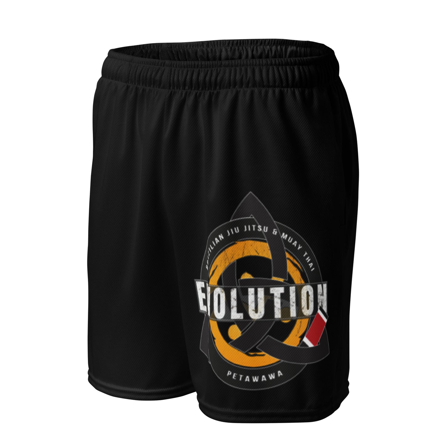 Unisex mesh shorts