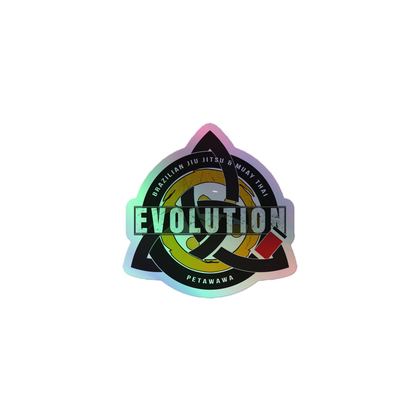 Holographic Evolution stickers