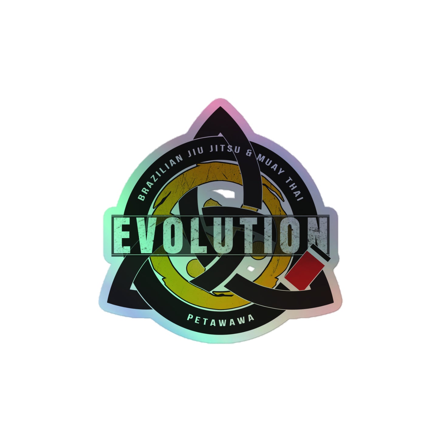 Holographic Evolution stickers
