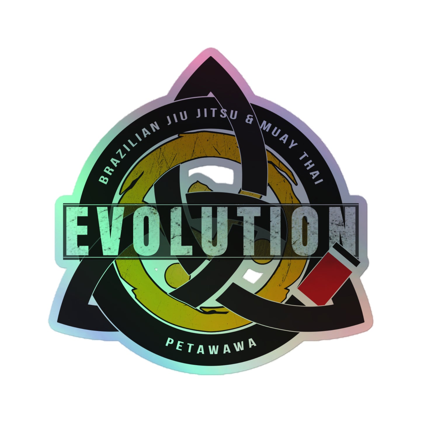 Holographic Evolution stickers