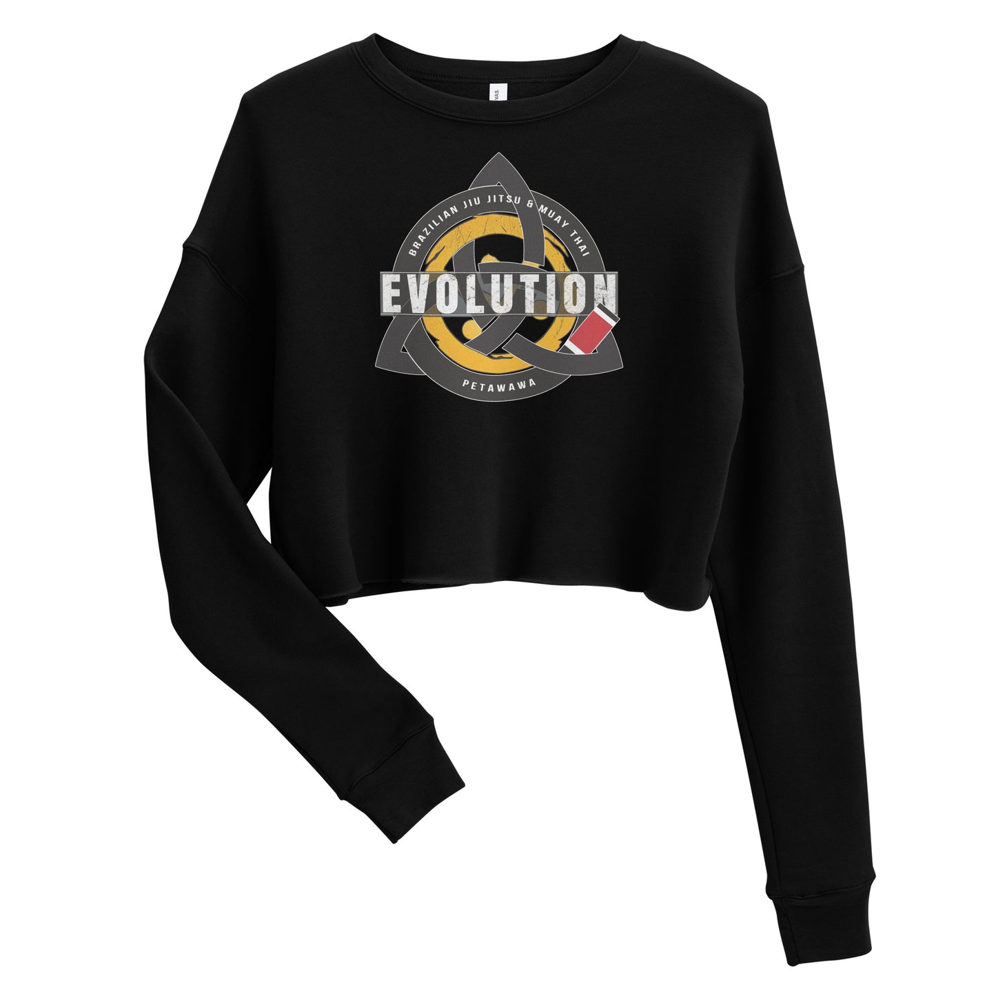 'Evolution' Crop Sweatshirt