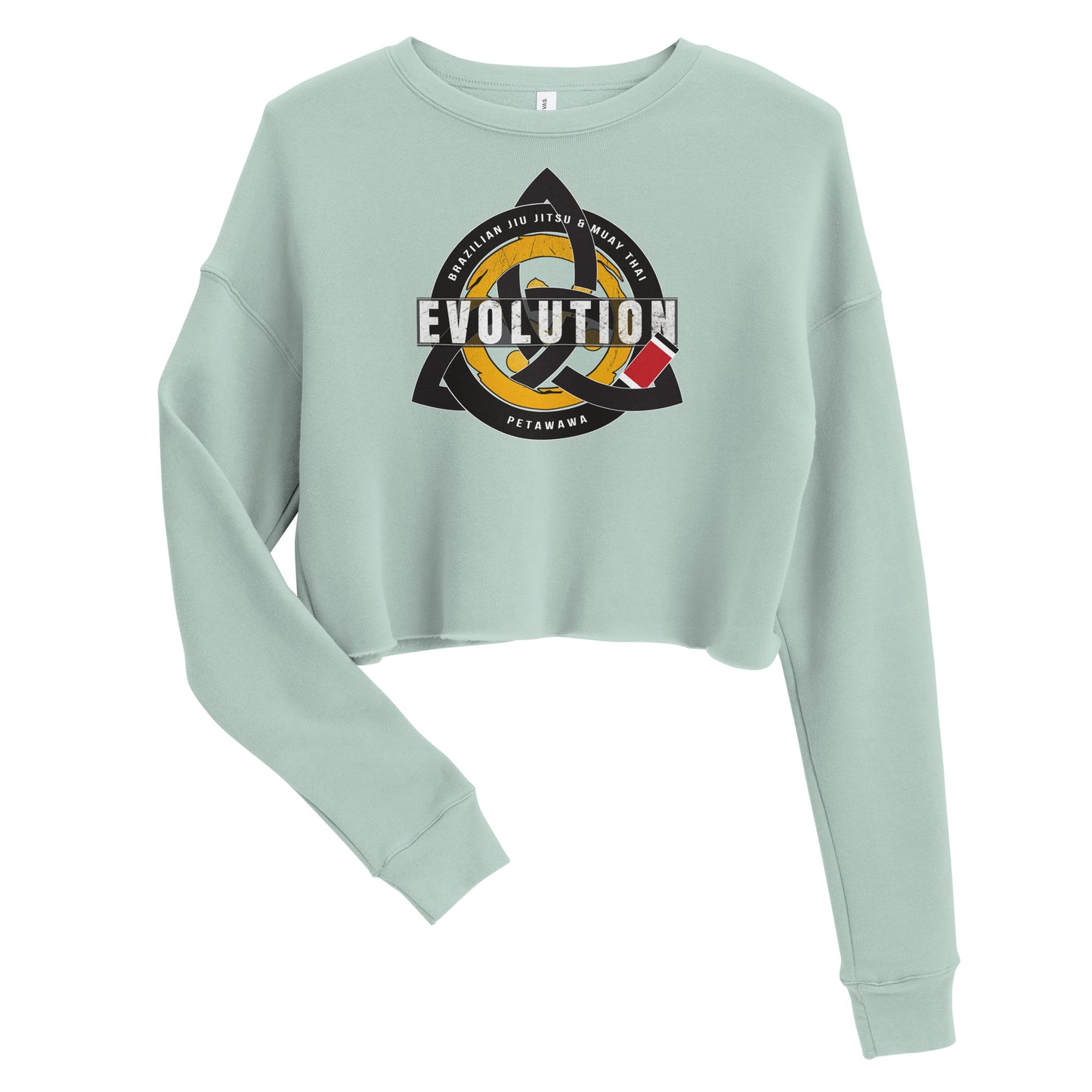 'Evolution' Crop Sweatshirt