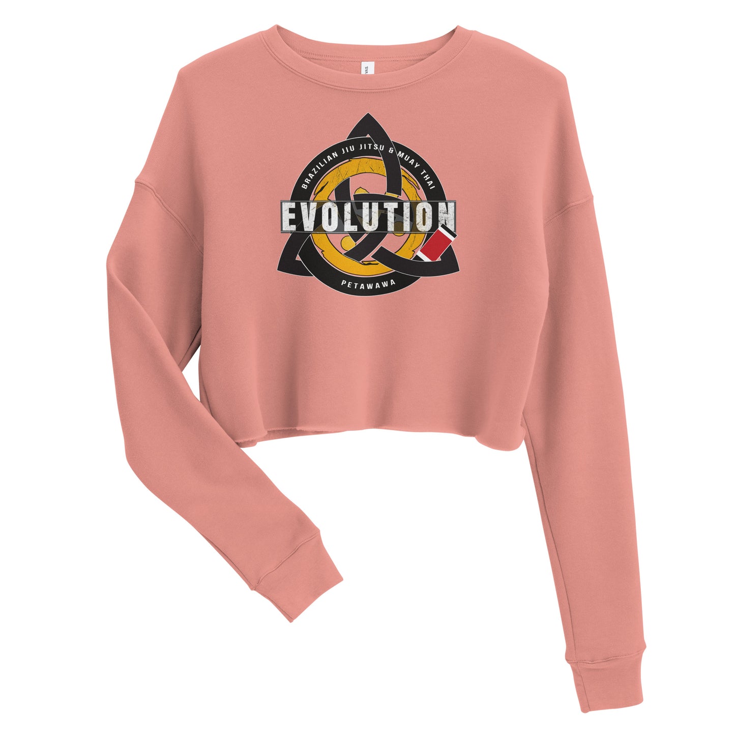 'Evolution' Crop Sweatshirt